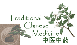traditional chinese medicine poster